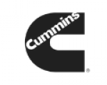 logos_cat (1)